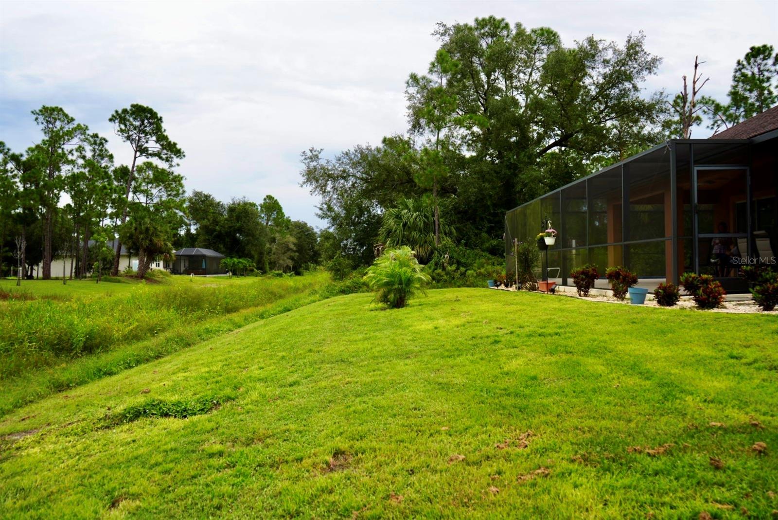 Grassy backyard with mature trees and a screened-in lanai lined with potted plants.