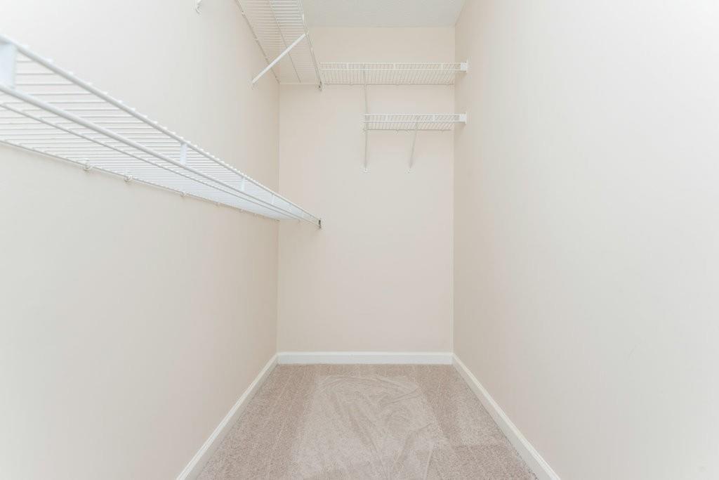 3111 Brandy Court