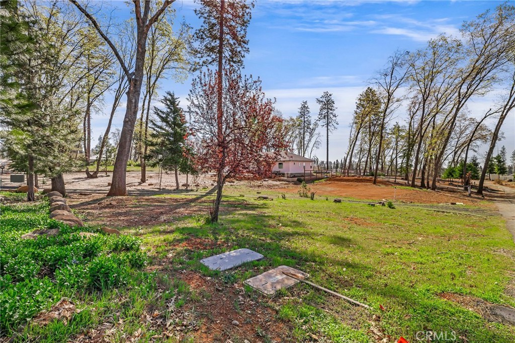 912 Thomasson Lane