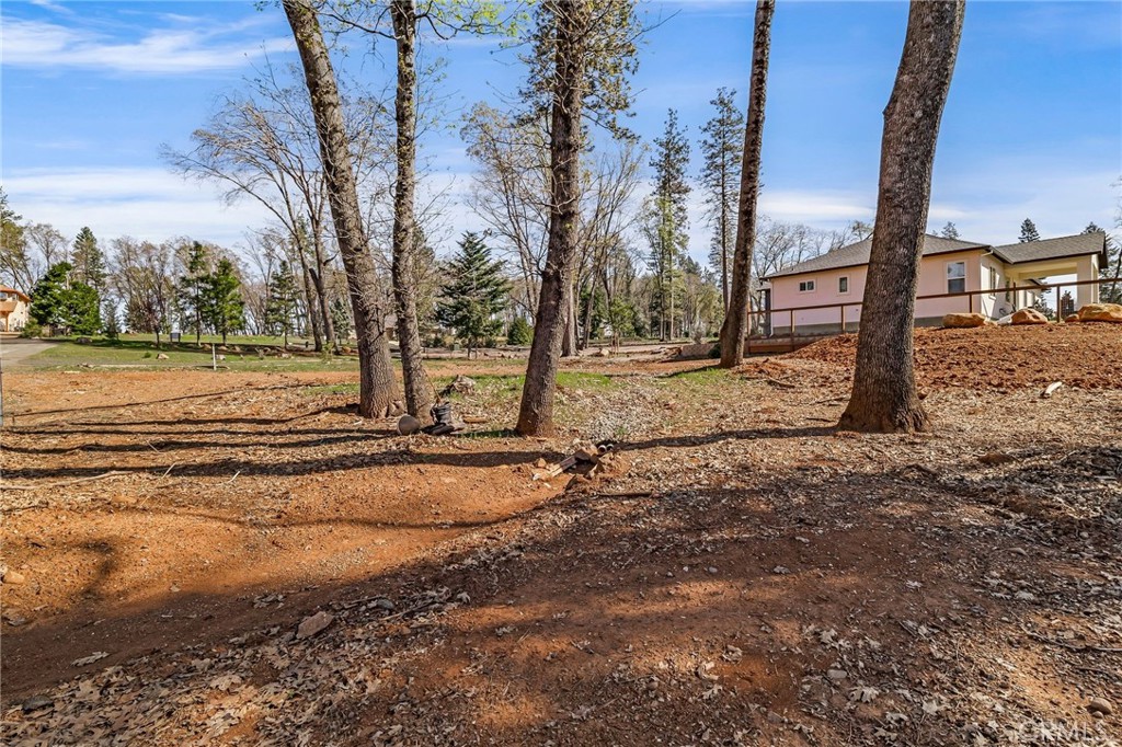912 Thomasson Lane