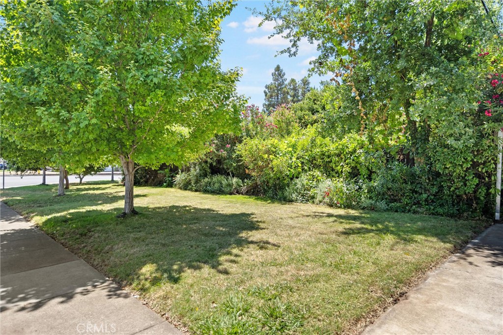 598 East Avenue
