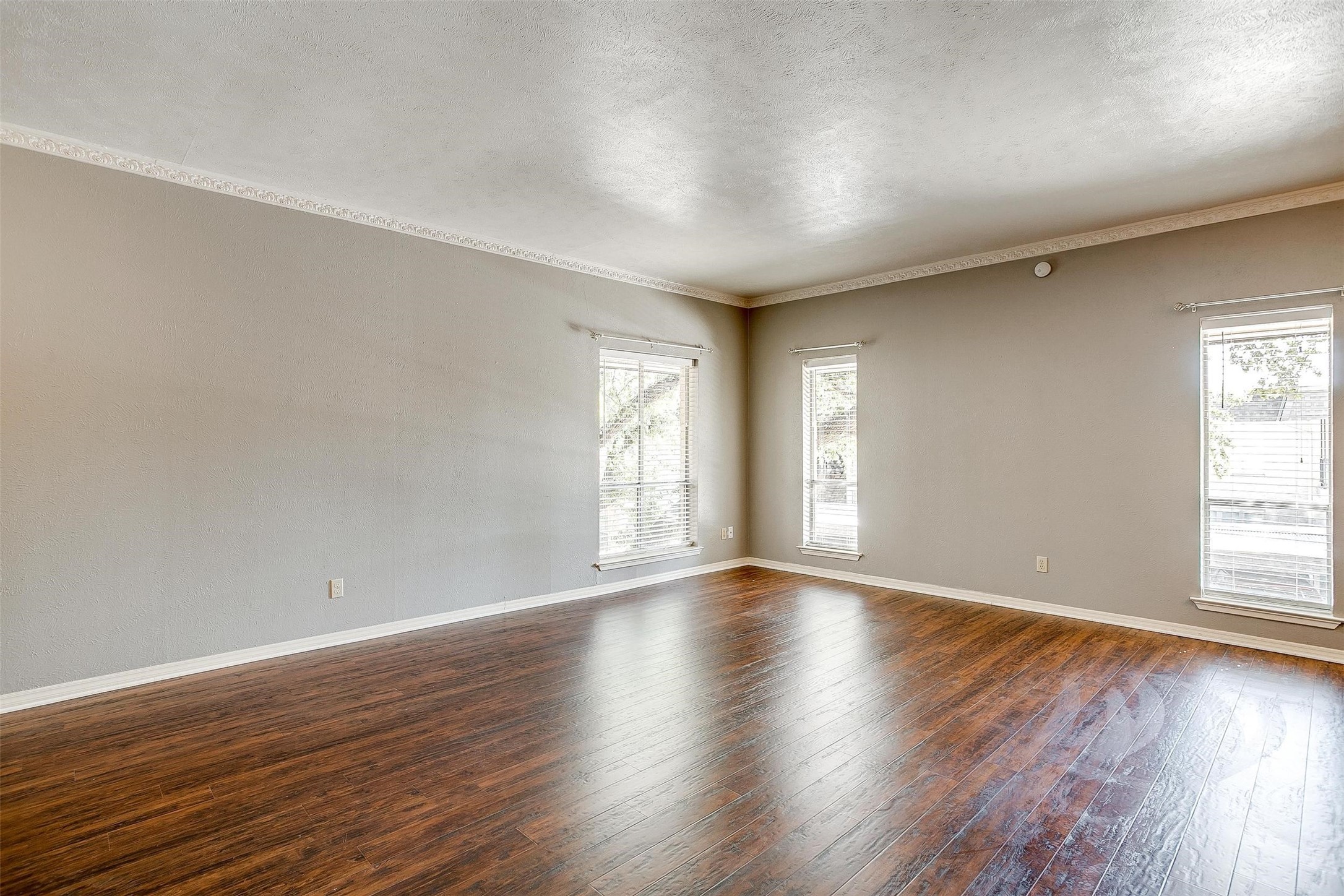 4320 Bellaire Drive S 233W