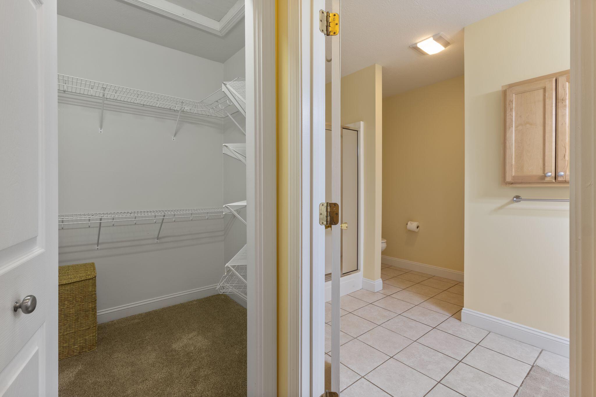 8 Kavanaugh Road 8