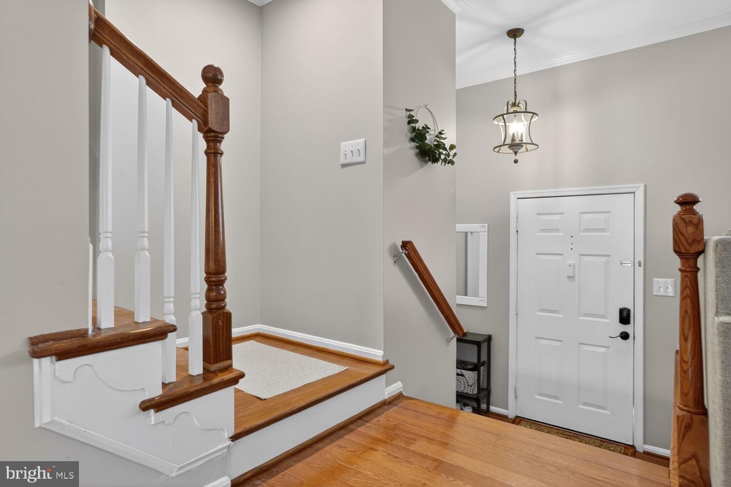 4830 TREASURE COURT