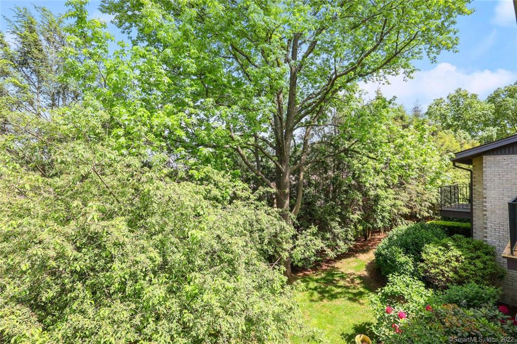81 Courtland Avenue Unit: 02