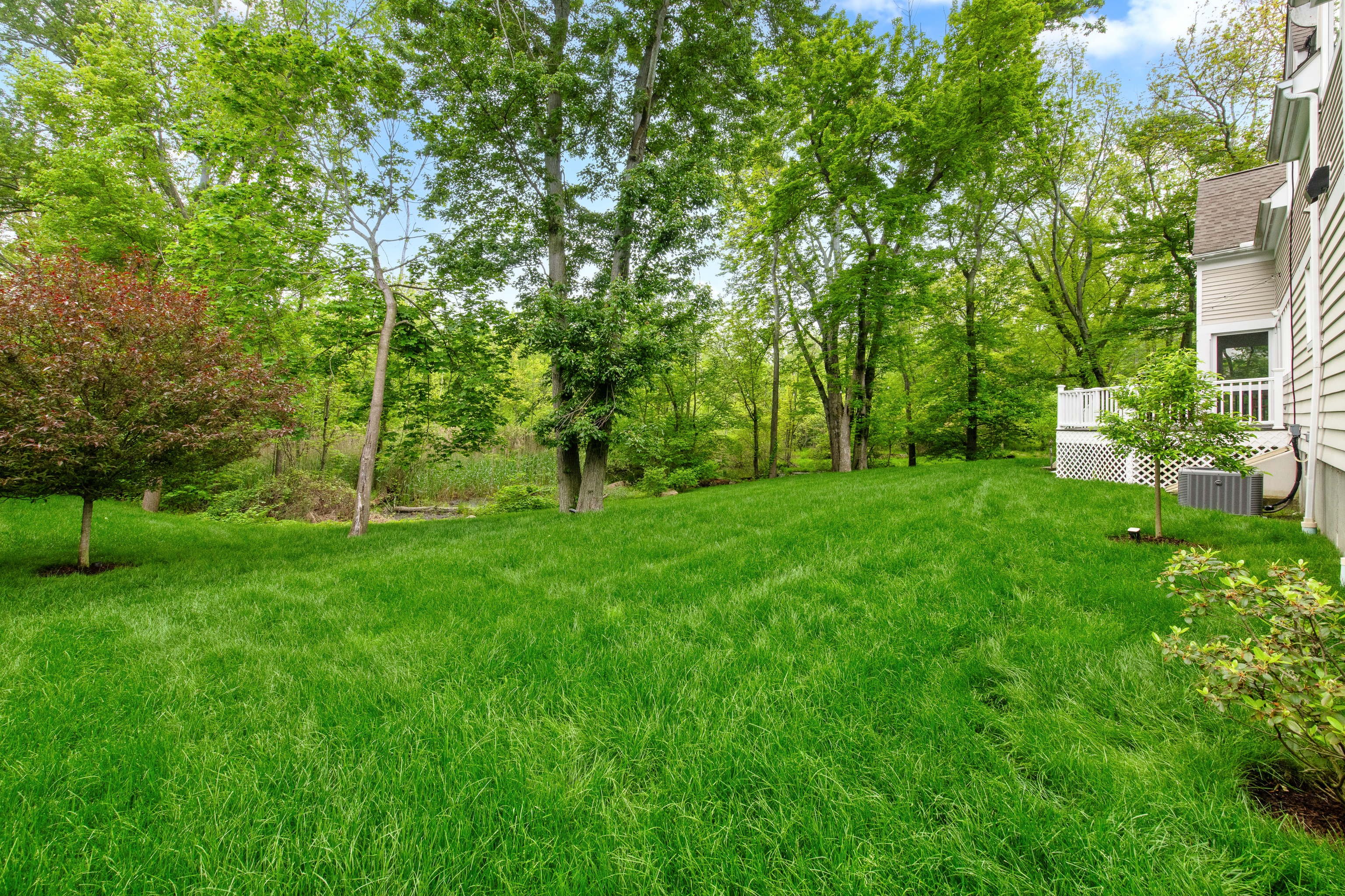 42 Kings Highway South