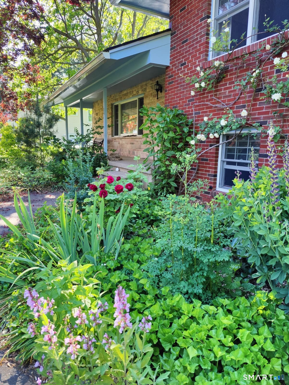 34 Davenport Drive
