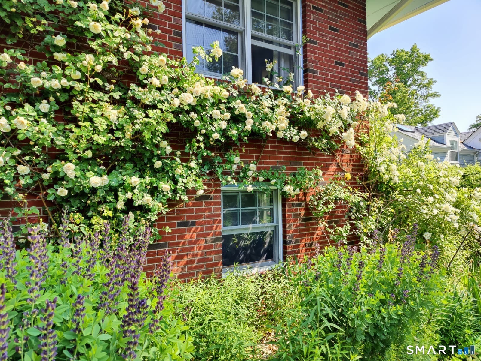 34 Davenport Drive
