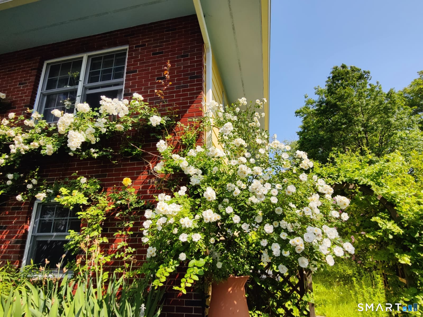 34 Davenport Drive