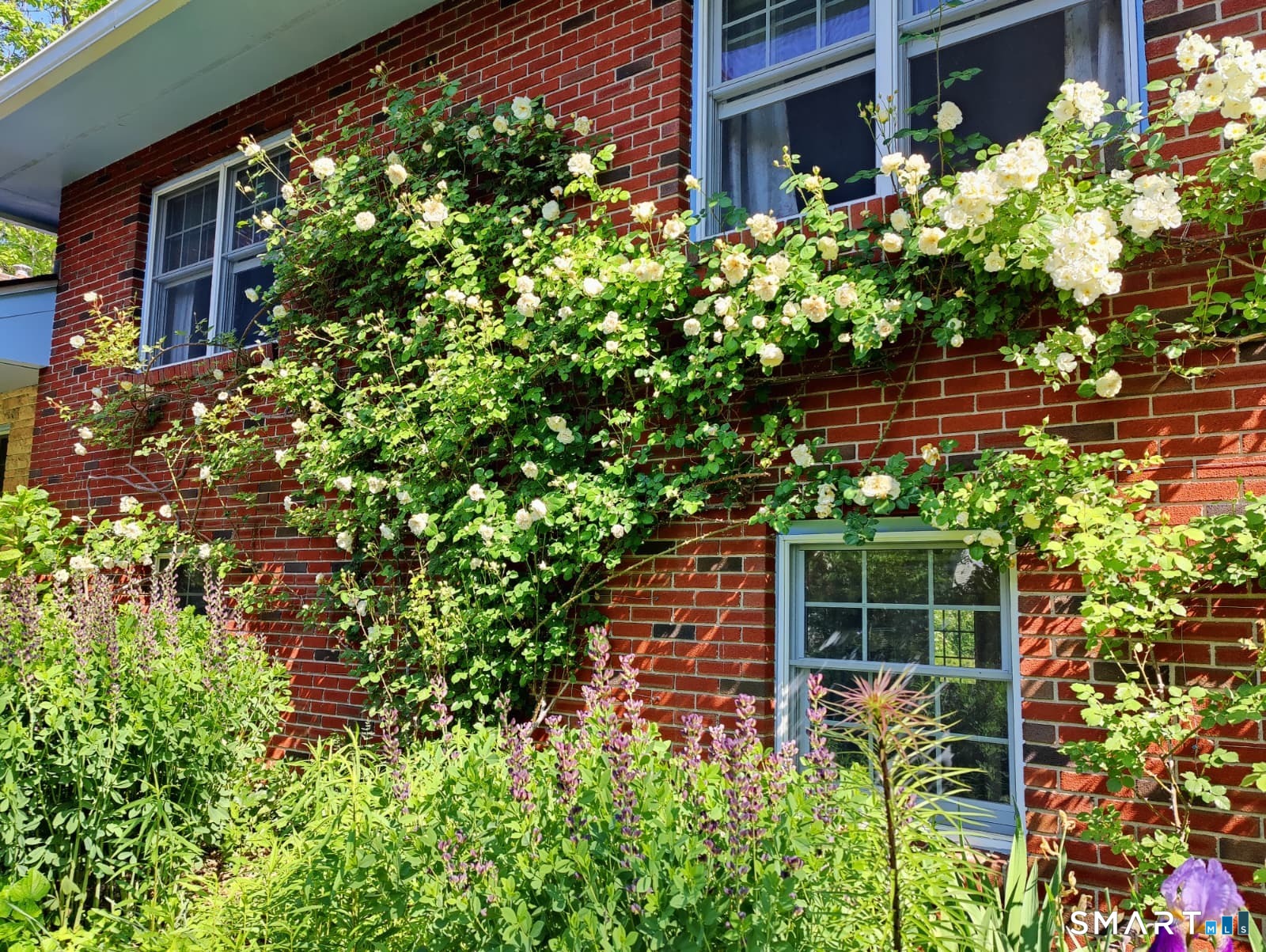 34 Davenport Drive