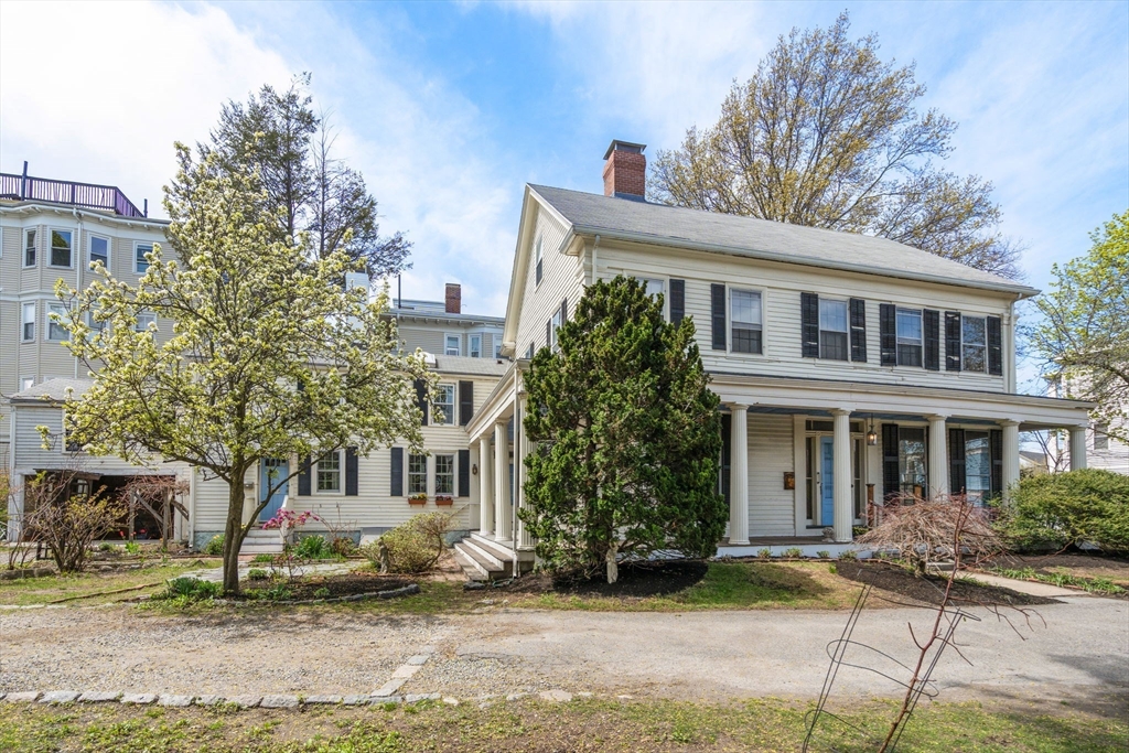 19 Linden Street