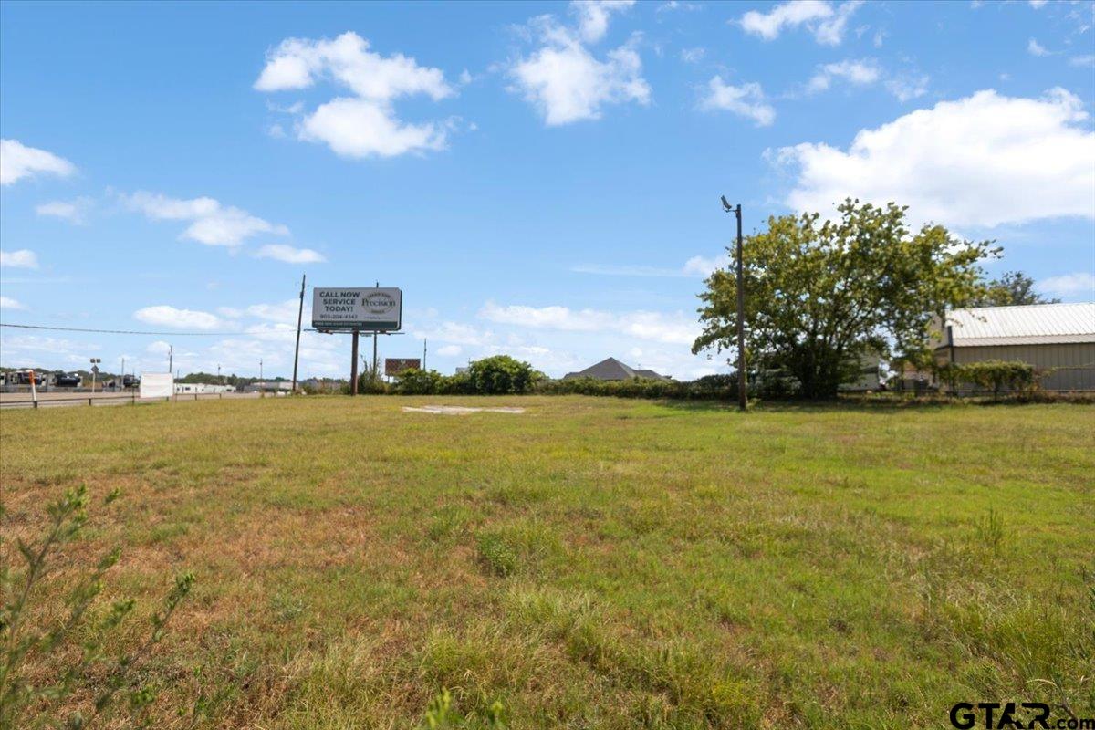 Vacant grassy lot beside a highway, with a roadside billboard and a large tree.