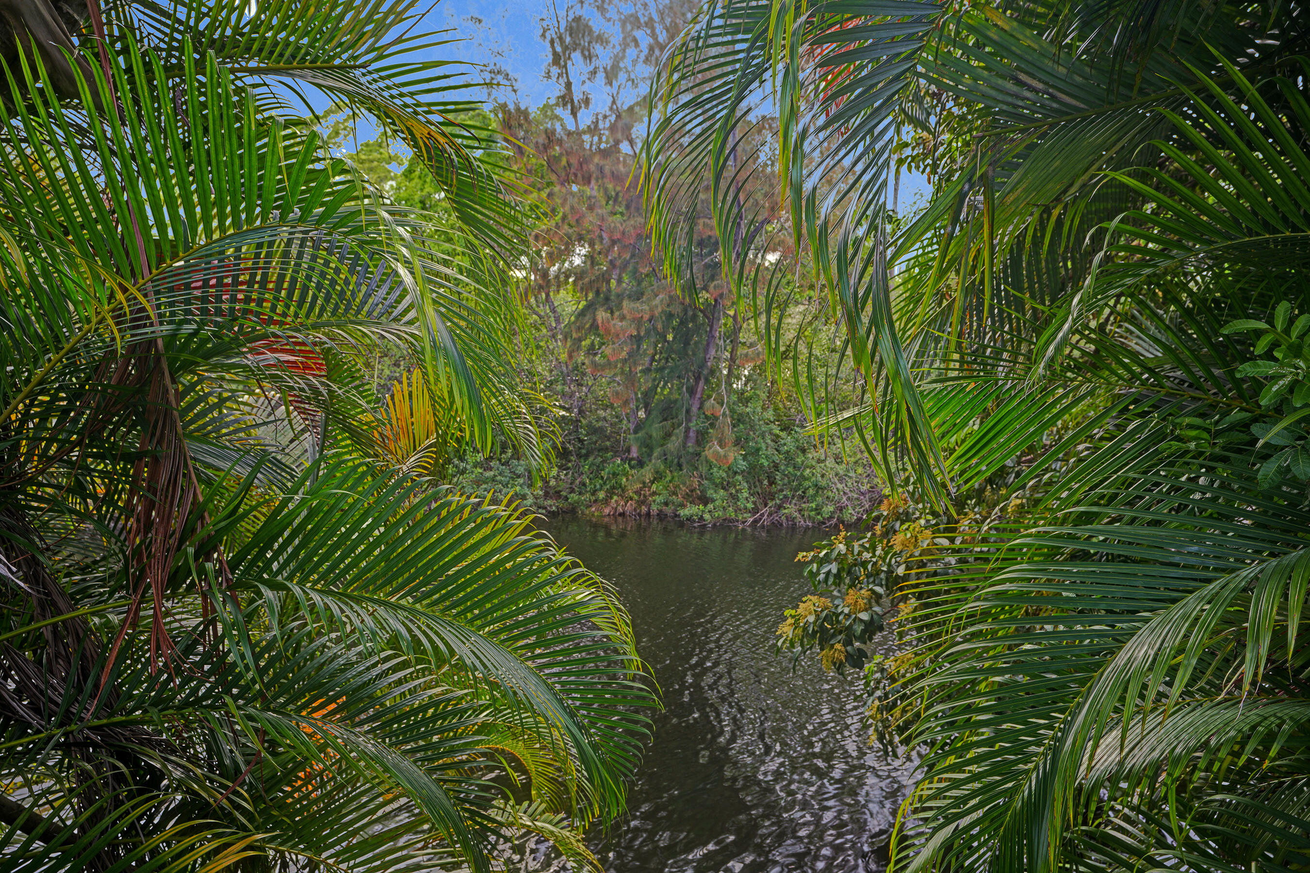 861 Mockingbird Lane