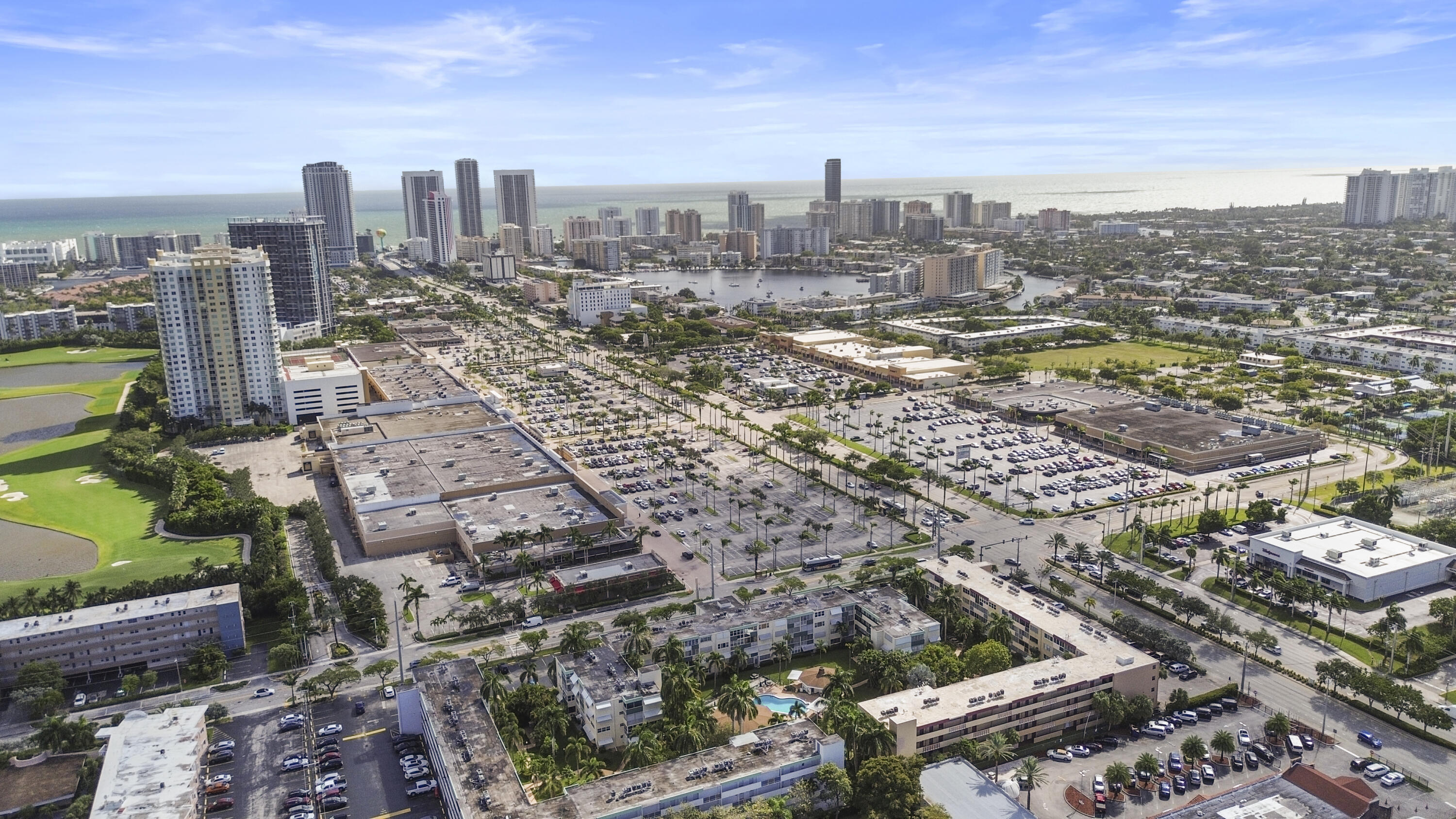 1333 E Hallandale Beach Boulevard Unit: 409