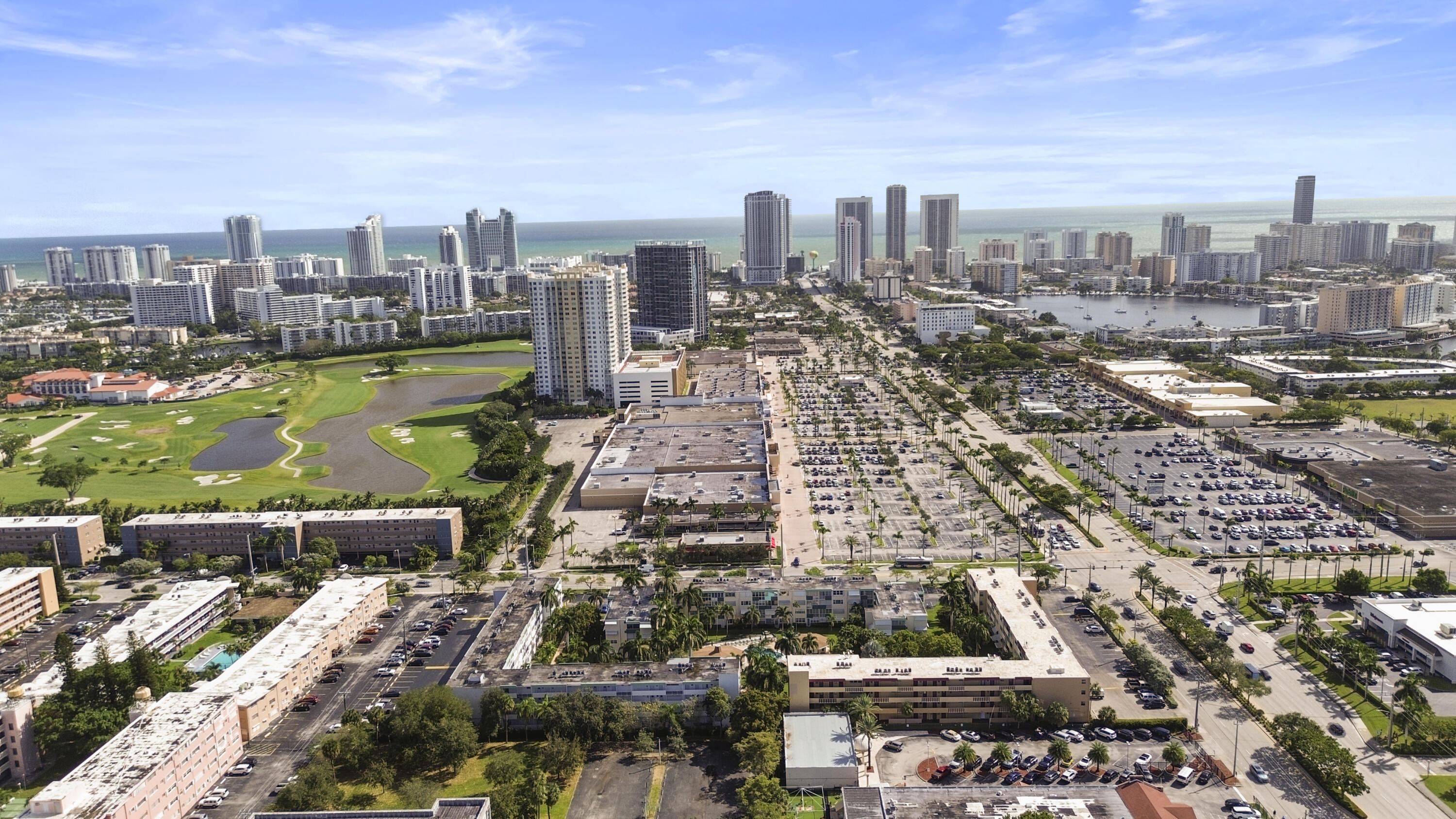 1333 E Hallandale Beach Boulevard Unit: 409