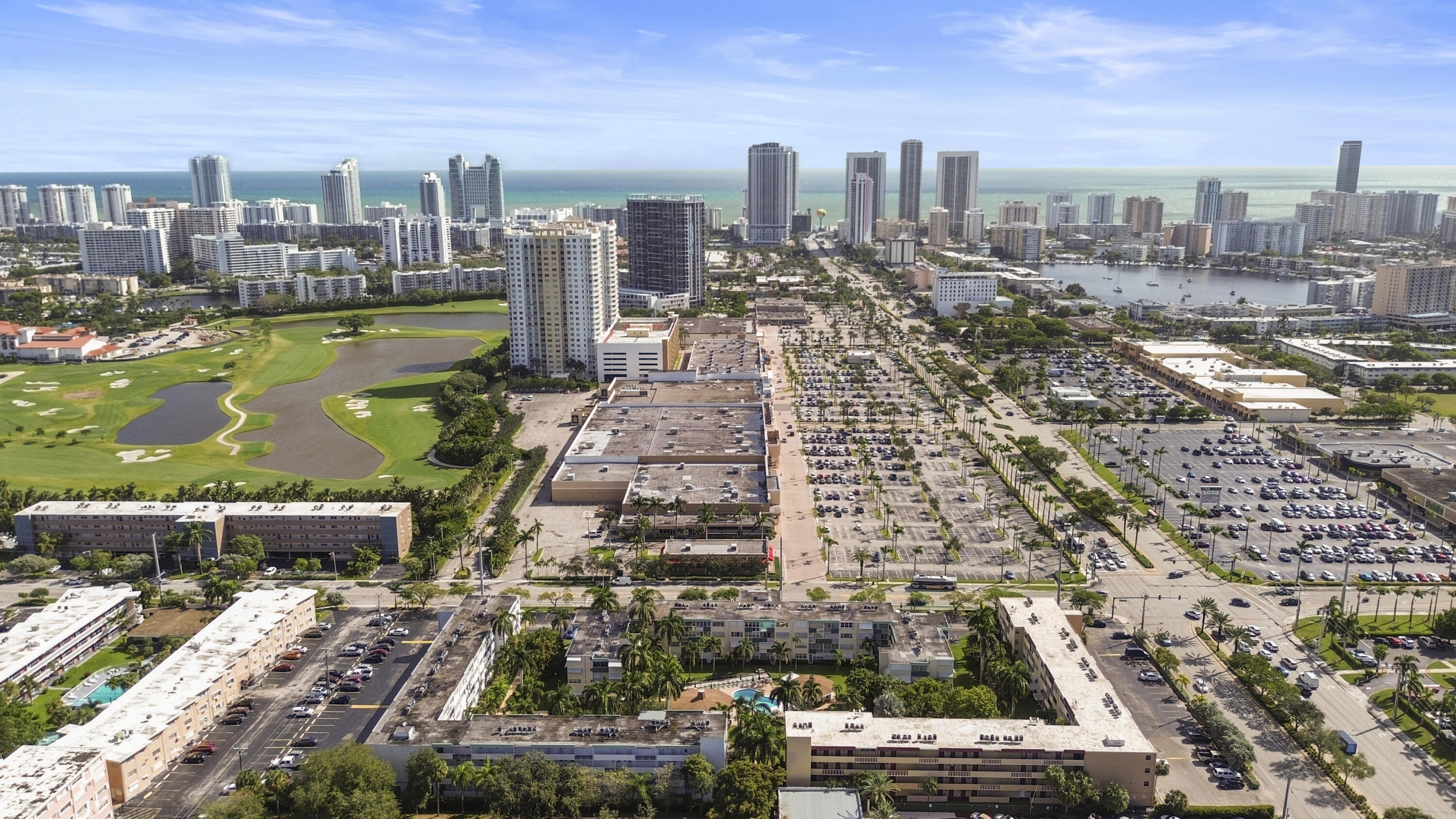 1333 E Hallandale Beach Boulevard Unit: 409