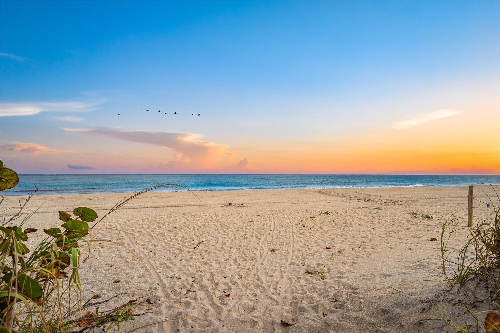 336 N Birch Road 12H, Fort Lauderdale Unit: 12H