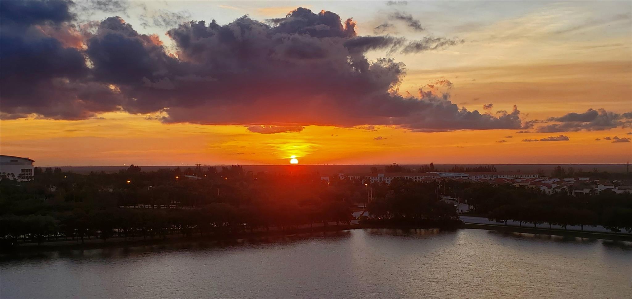 2641 N Flamingo Rd 1105N