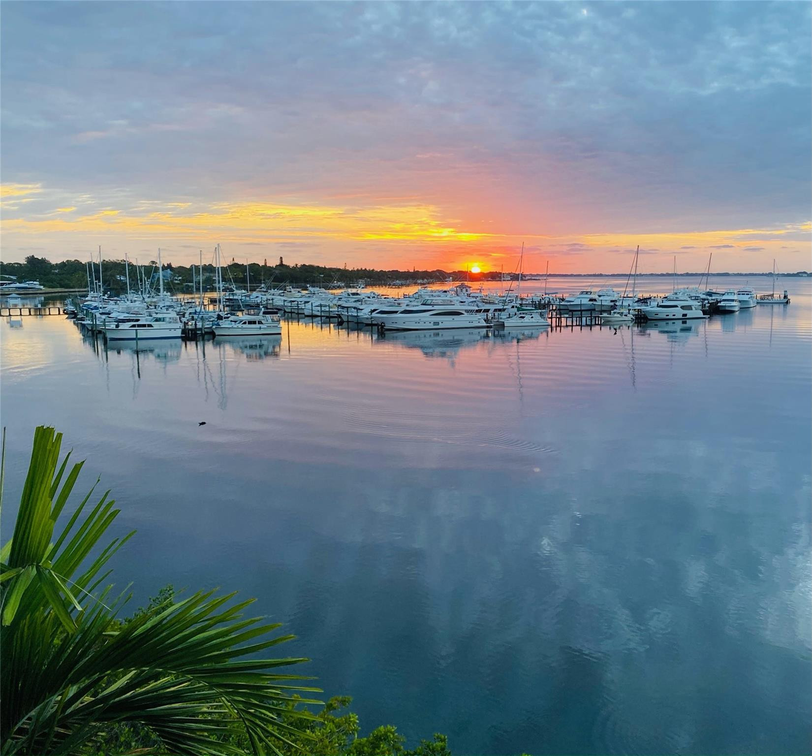 675 NW Flagler Ave 303