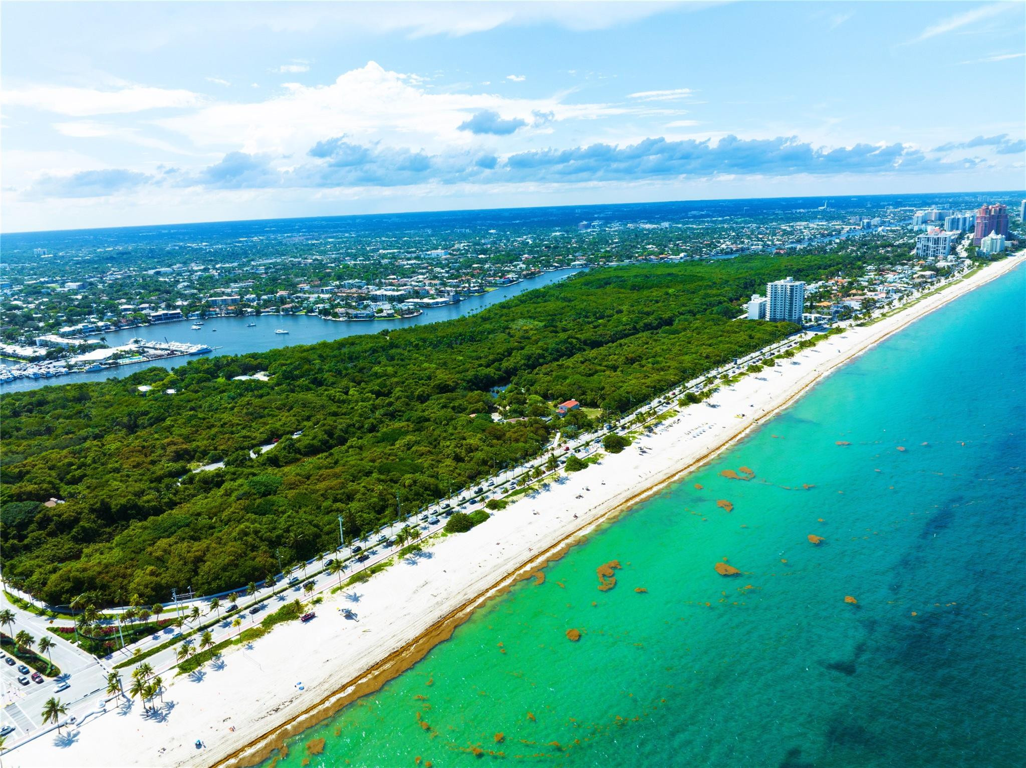 3000 E Sunrise Blvd 6D