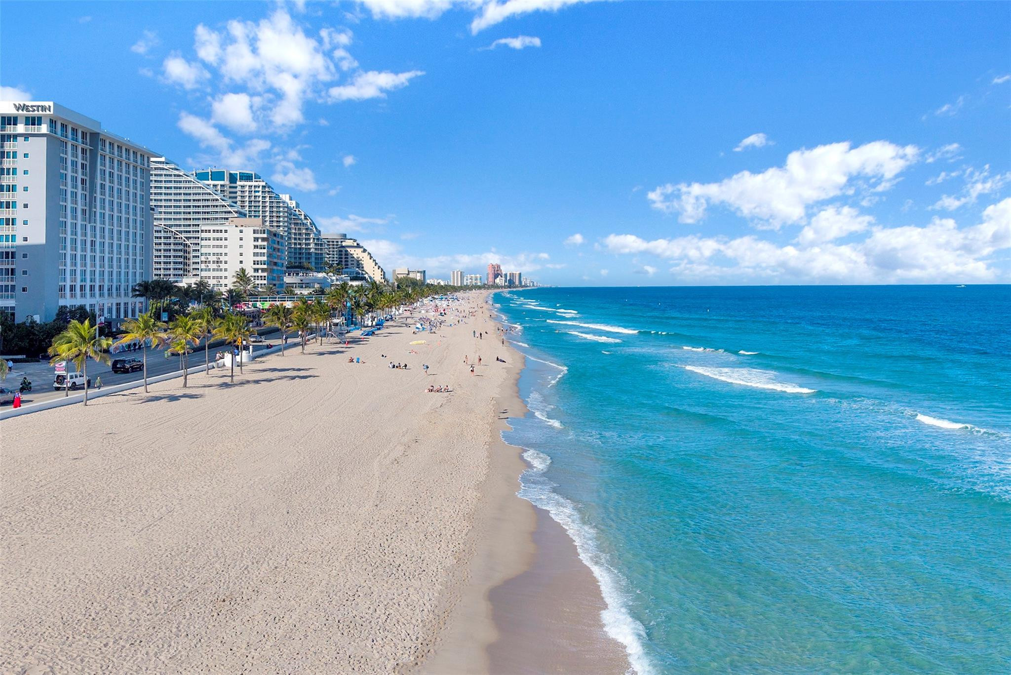 151 N Seabreeeze Boulevard 504