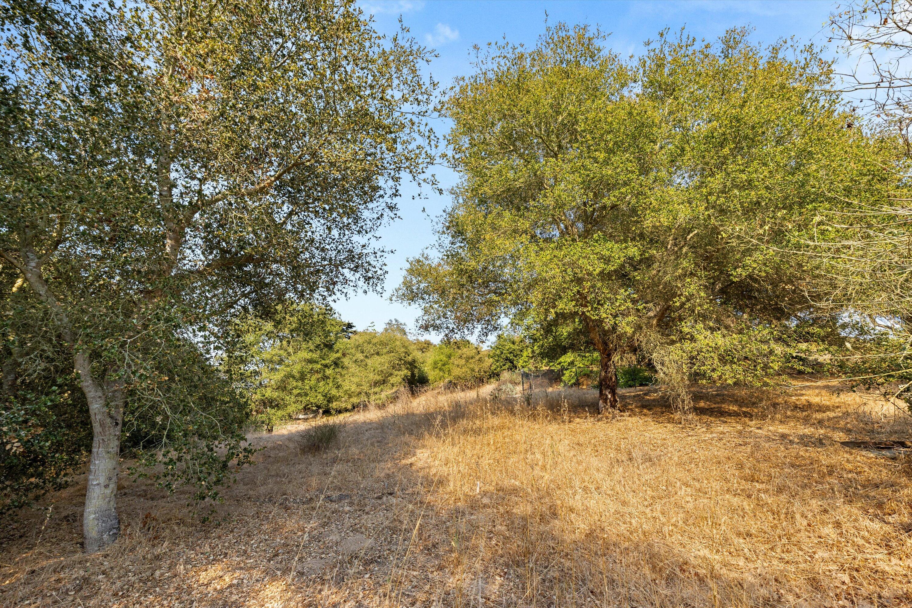 2210 St James Drive