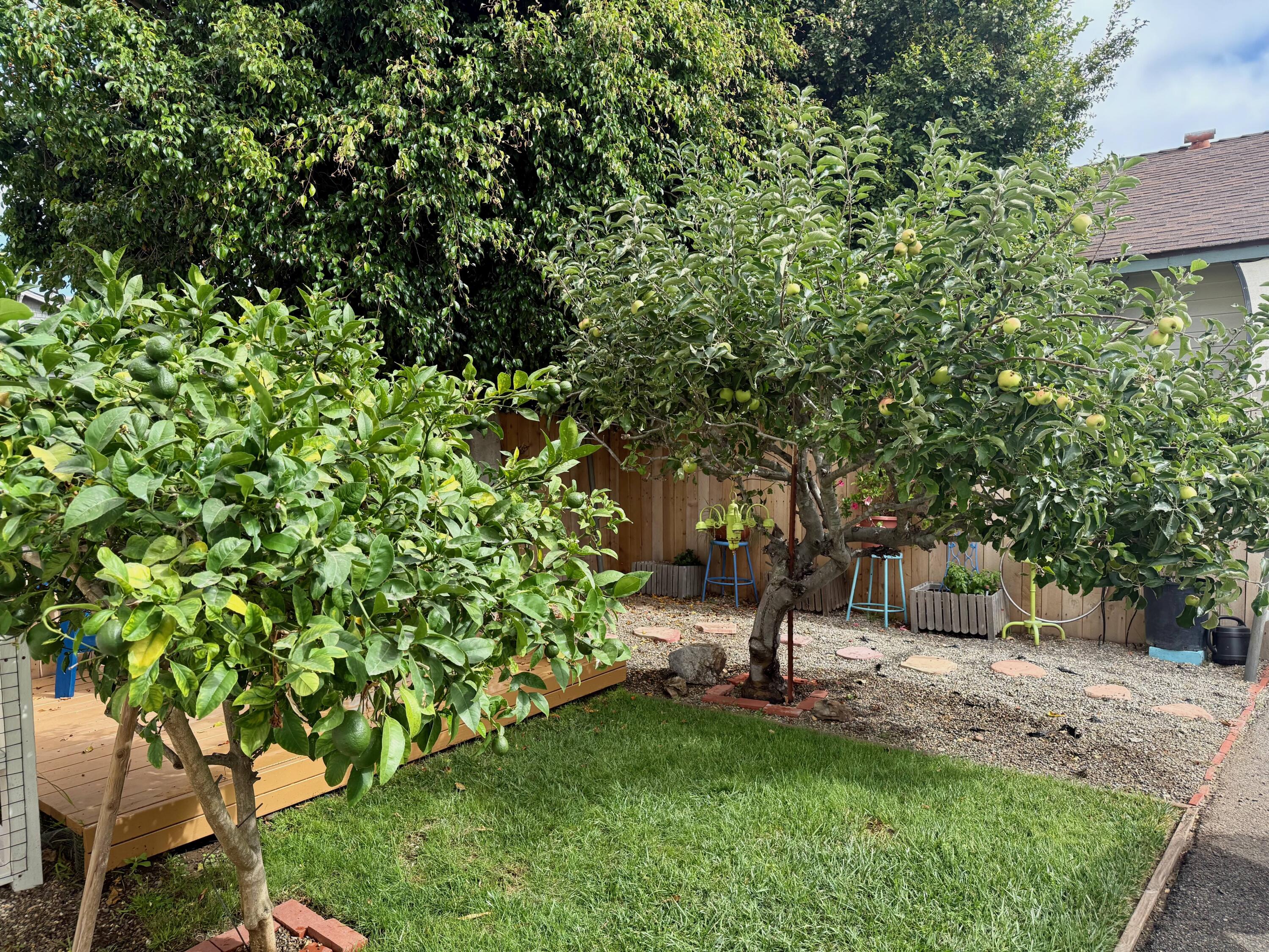 1808 Castillo Street, B