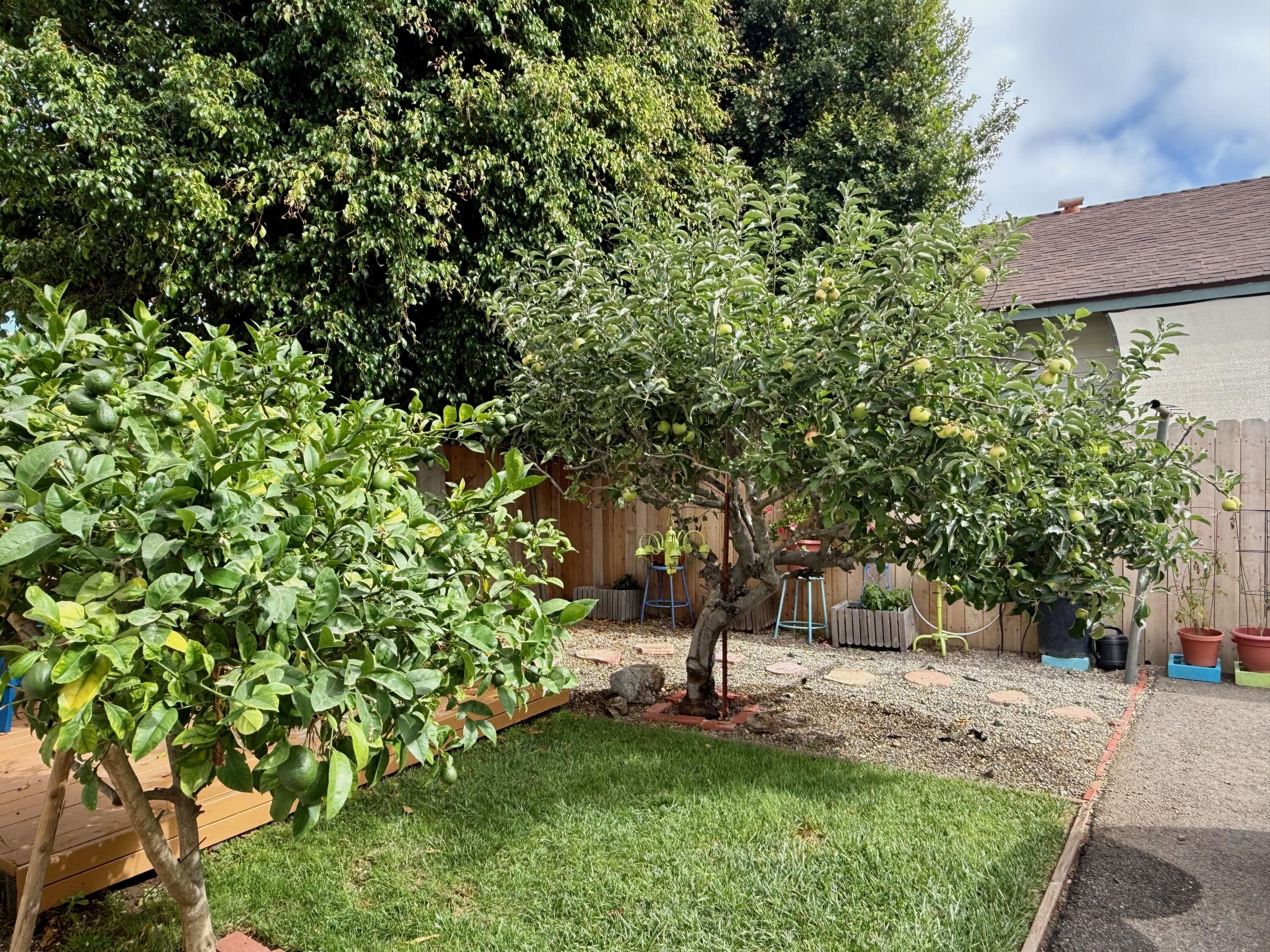 1808 Castillo Street E