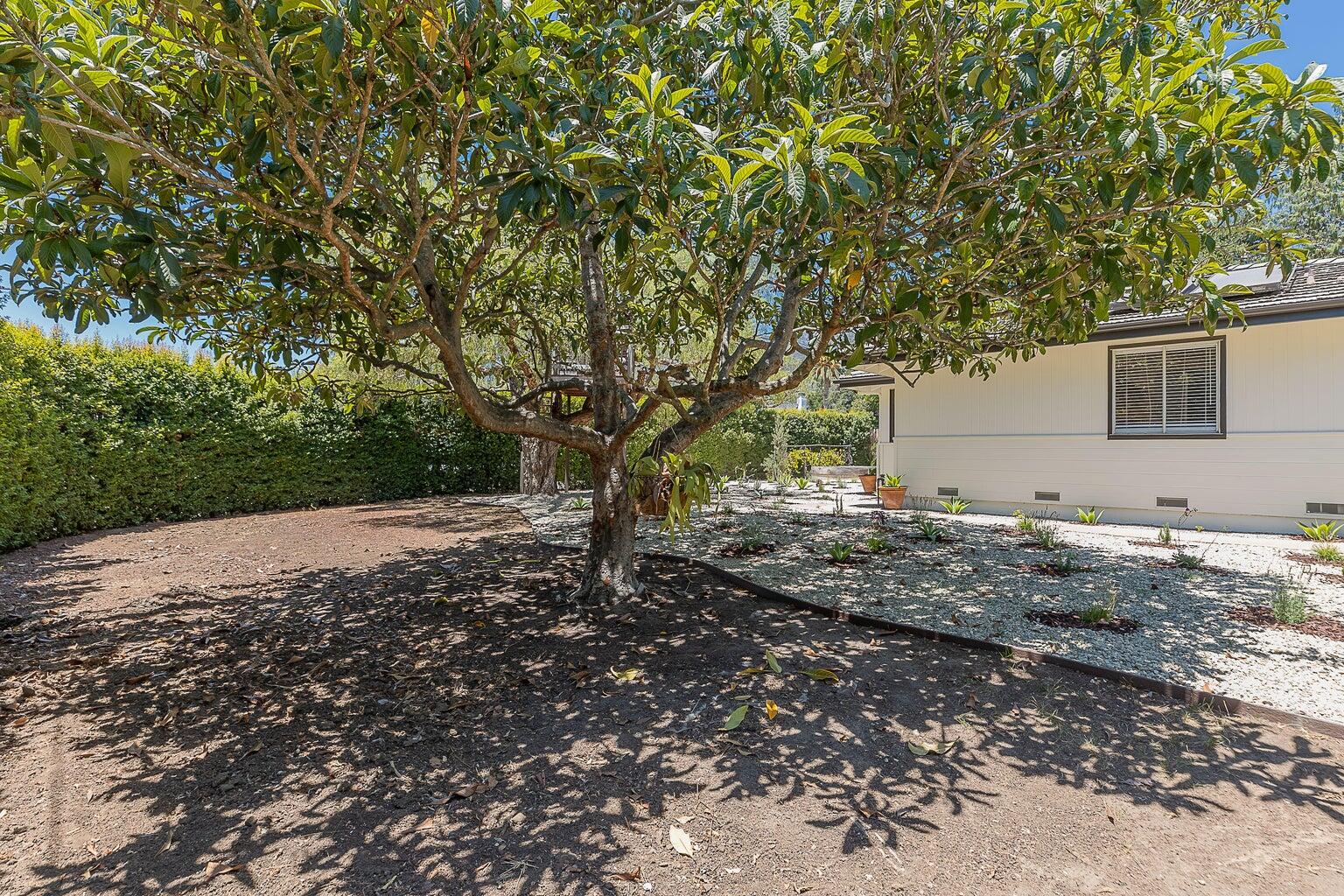 634 Chelham Way