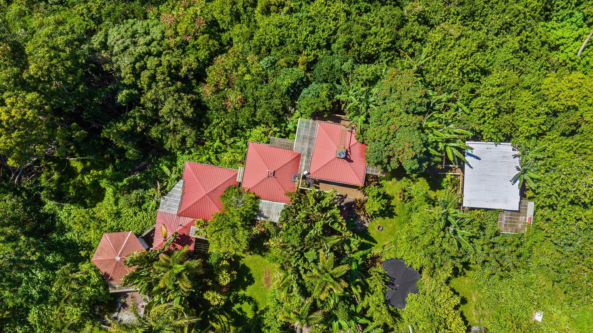 7953 Hana Hwy