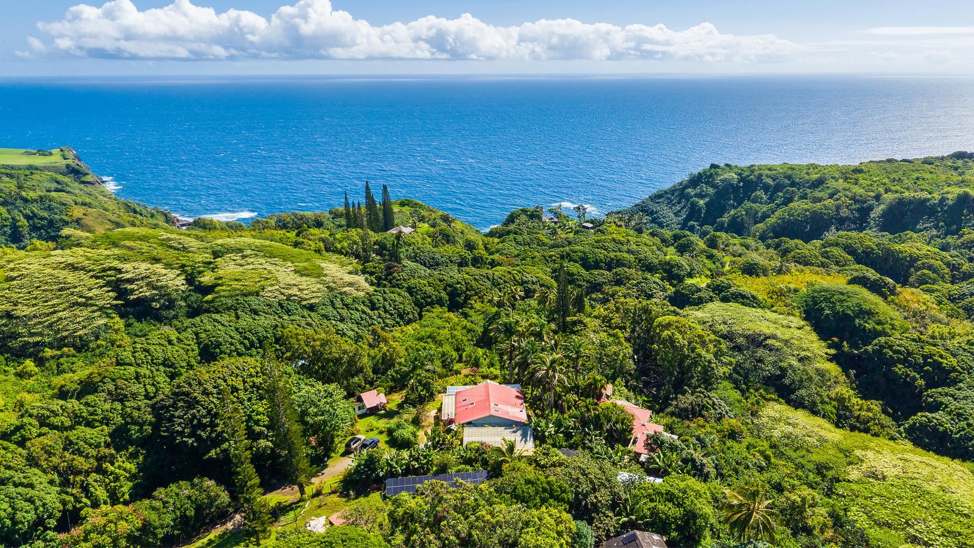 7953 Hana Hwy