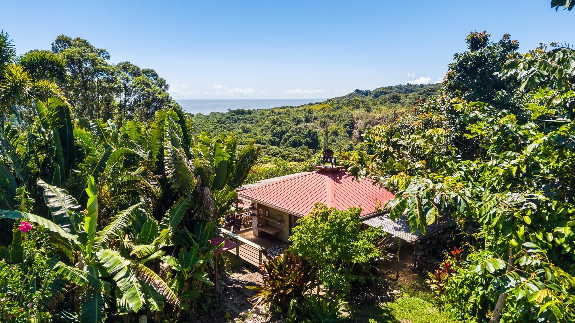 7953 Hana Hwy