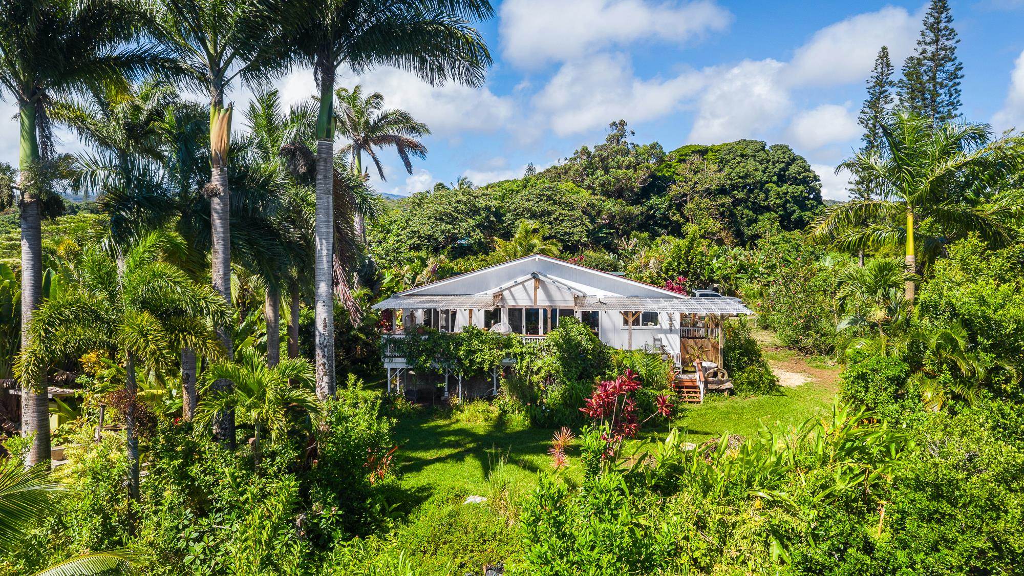 7953 Hana Hwy