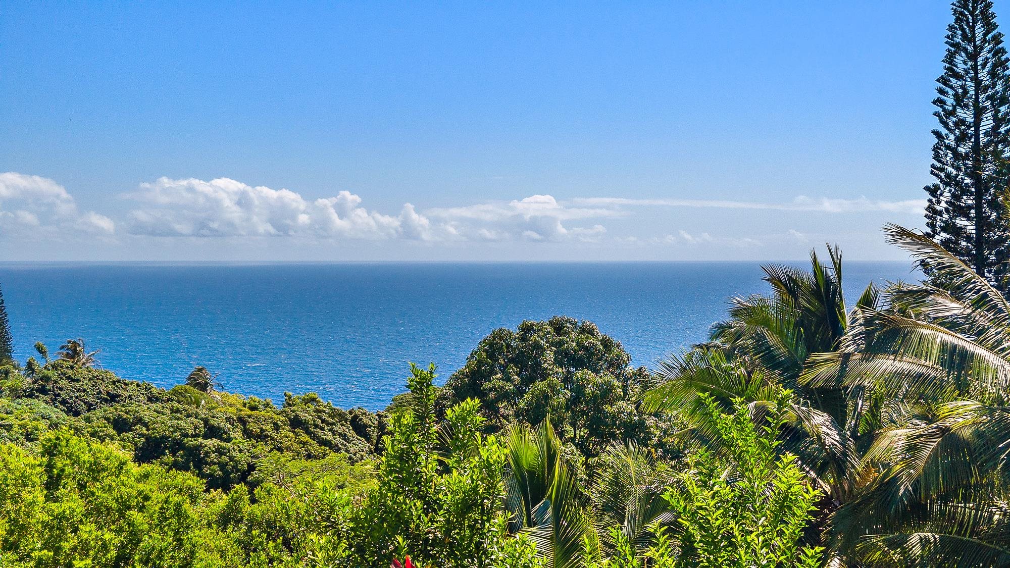 7953 Hana Hwy