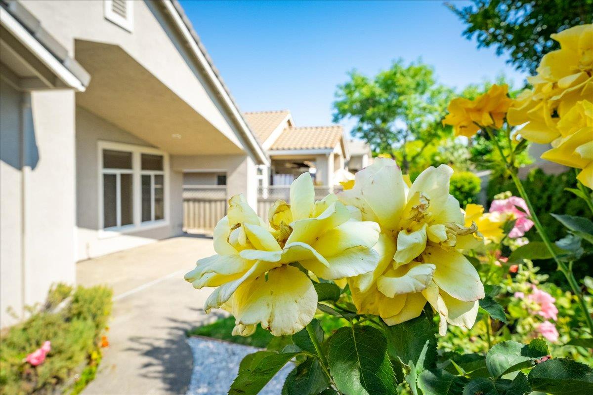 5696 Red Willow Lane