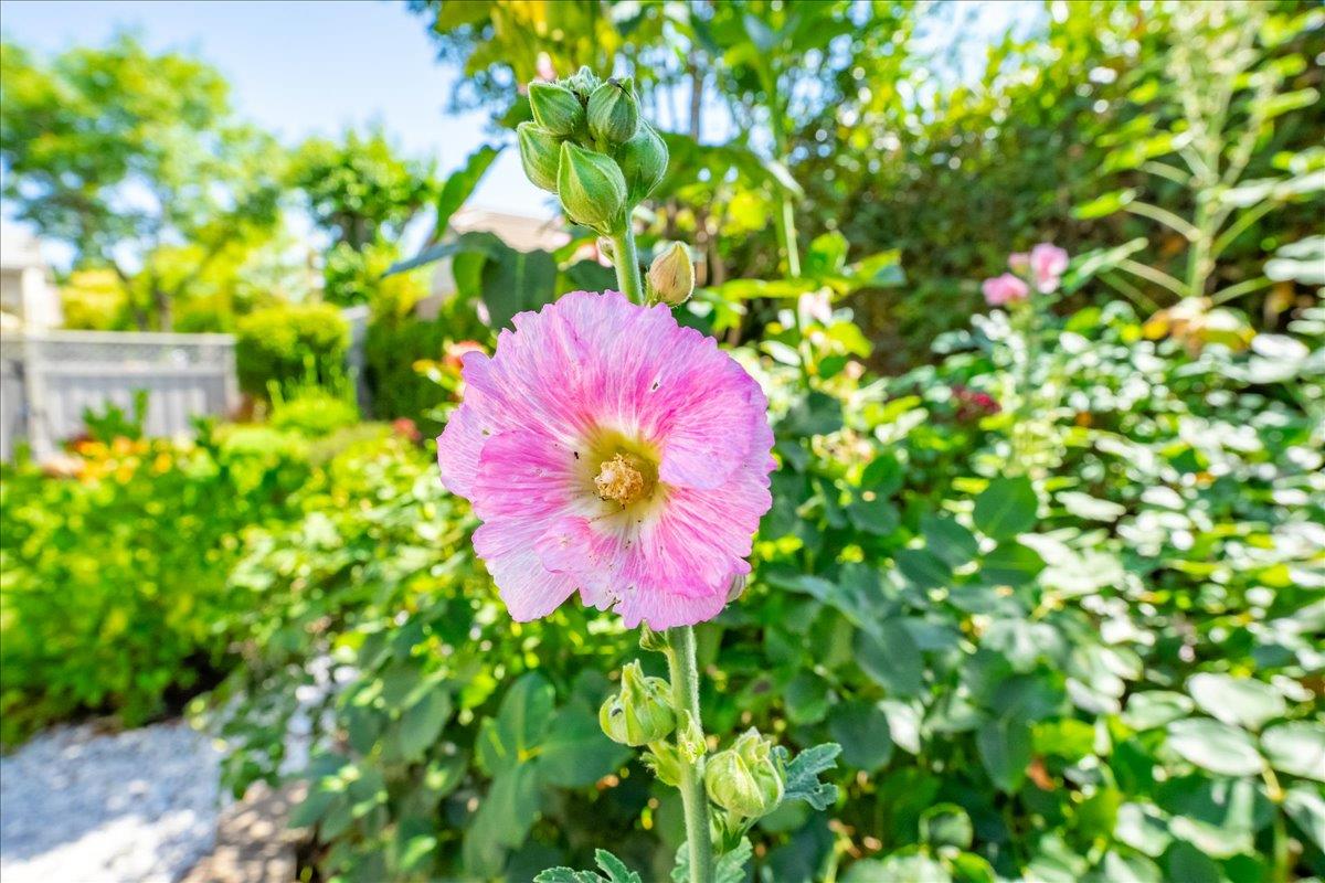 5696 Red Willow Lane