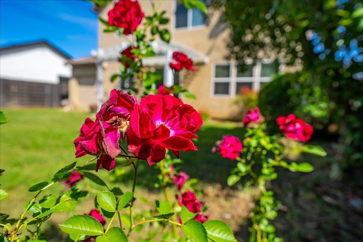 1900 Pyramid Creek Drive