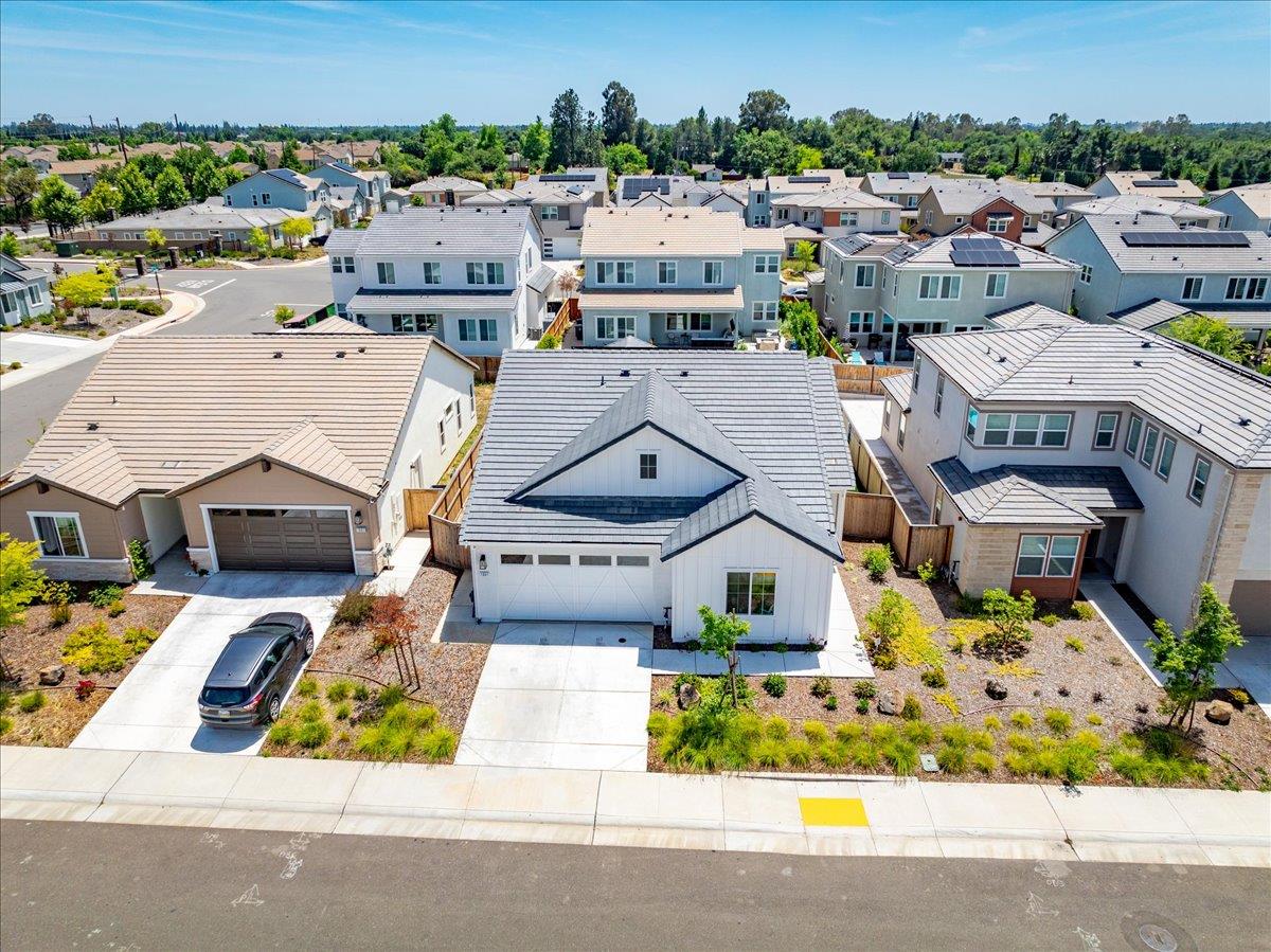 1861 Petite Verdot Lane