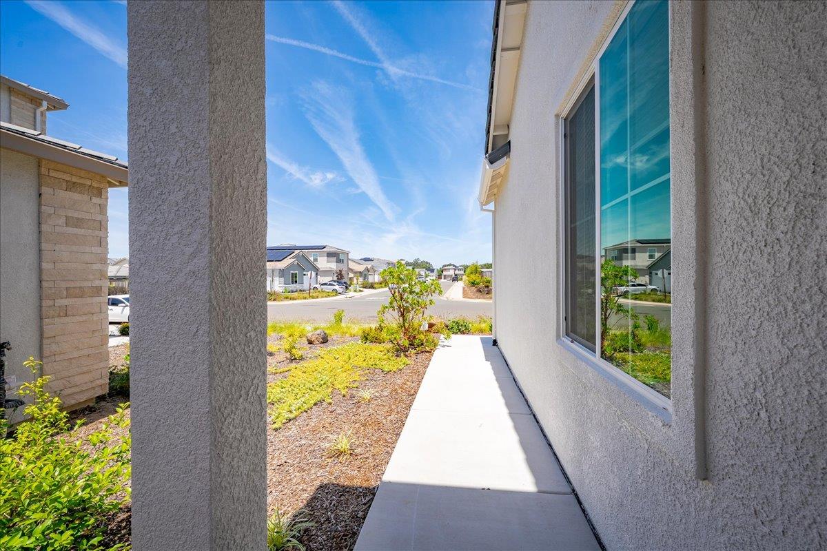 1861 Petite Verdot Lane