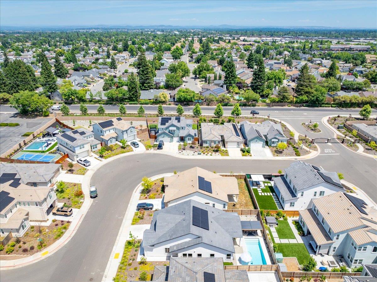 1861 Petite Verdot Lane