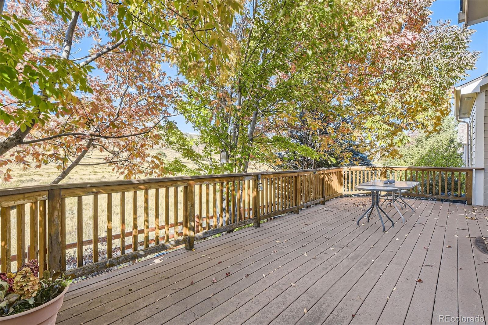 8379 Hackamore Road