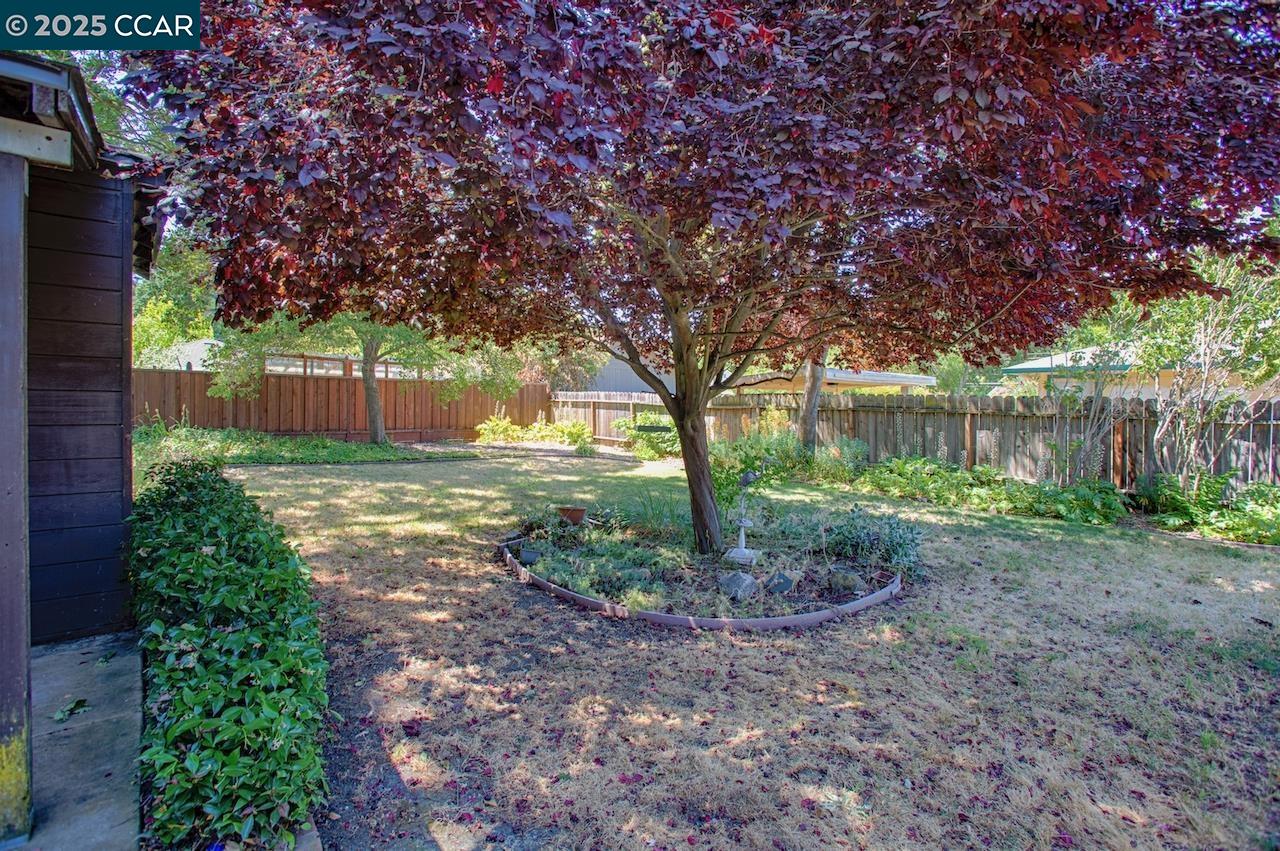 1273 Lindell Dr