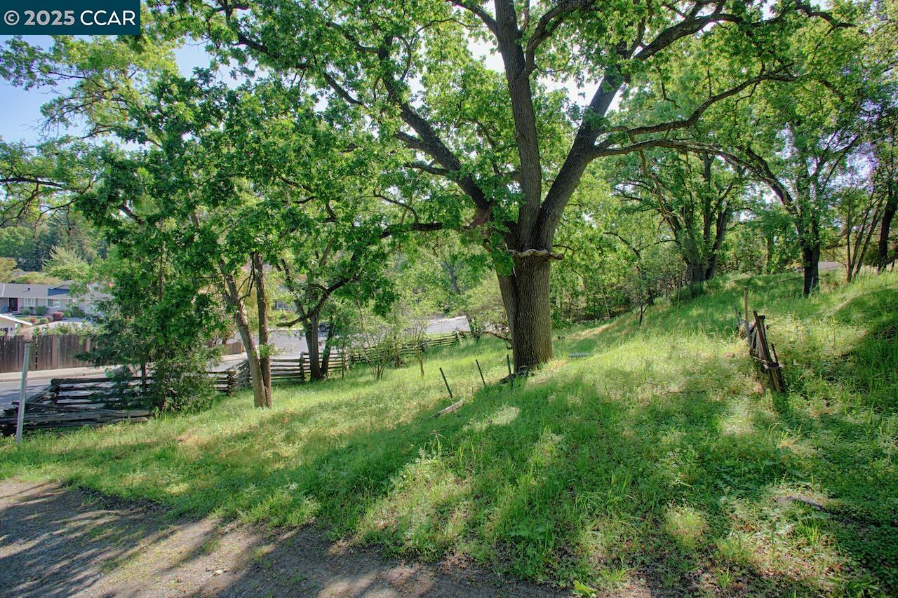 211 Vallecito Ln