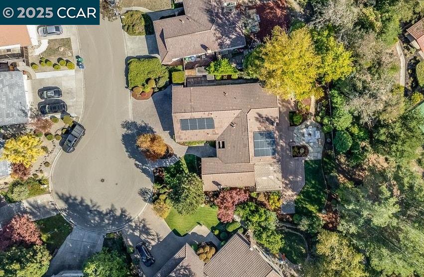 3428 Bermuda Ct