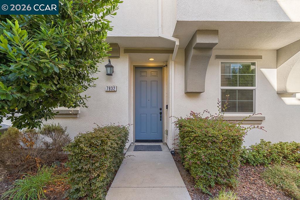 7832 Acorri Walk