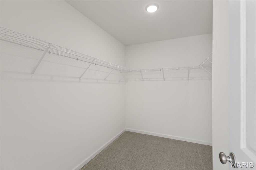 18404 Boone Ridge Manor Drive