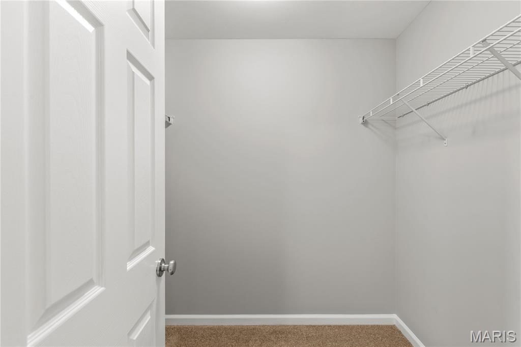 3105 Pathfinder Trail