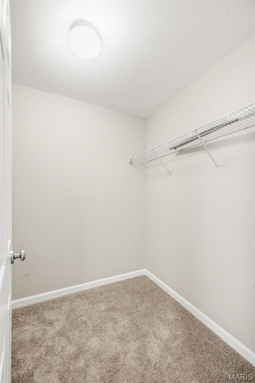 3105 Pathfinder Trail