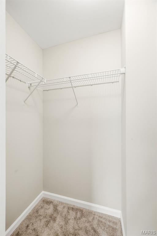 3105 Pathfinder Trail