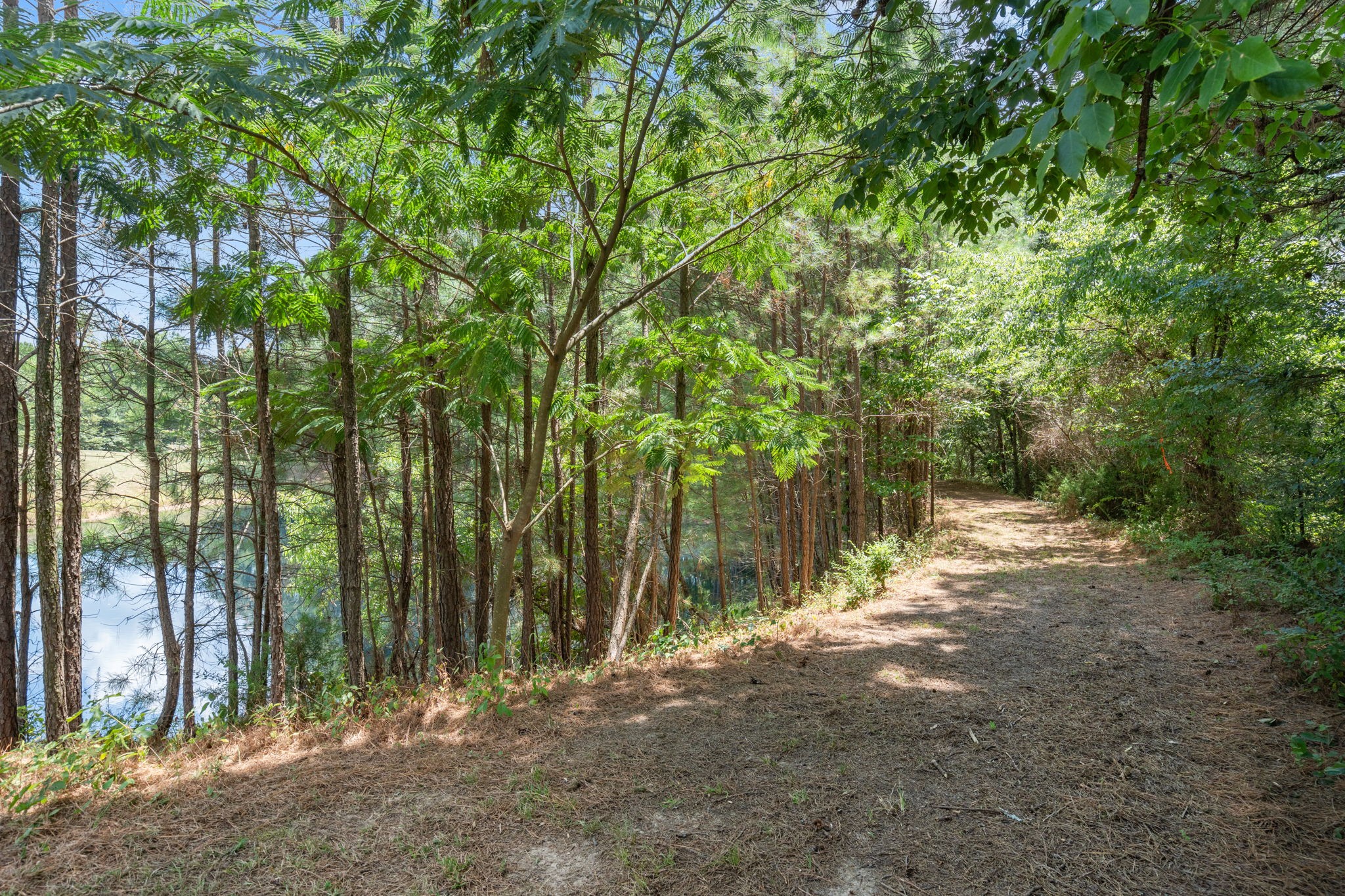 1328 Harmon Springs Rd